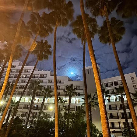 Vina Del Mar Apartment Playa Fanabe Exterior photo