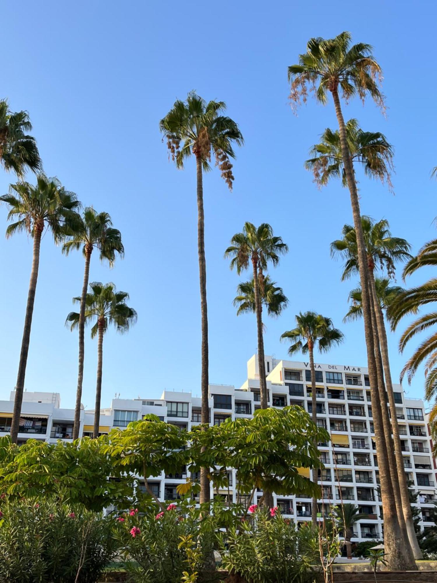 Vina Del Mar Apartment Playa Fanabe Exterior photo